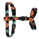 Peitoral para Cachorro Estampa Dog Crazy 4 Dogs