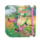 Peitoral para coelho e chinchila com guia