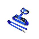 Peitoral para Gatos com Guia Azul Royal