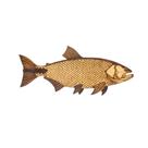 Peixe Decorativo Dourado - Dfish