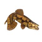Peixe Decorativo Traira - Dfish