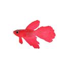 Peixes pequenos artificiais FastUU Peixes falsos não tóxicos para aquário
