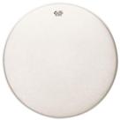 Pele Porosa para Caixa 14" Ambassador EN0114BA Remo - Izzo Pele Porosa para Caixa 14" Ambassador EN0114BA Remo - Izzo