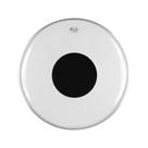 Pele Remo Encore Controlled Sound 22 - Bola Peta - Dot