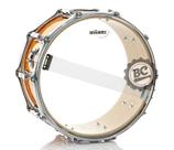 Pele Williams W1B Hazy Snare 12 Resposta de Caixa (Tipo Ambassador Hazy e Hazy 300) W1B-075-12