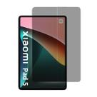 Película Gel Privativa Compatível Para Xiaomi Mi Pad 5/Pro