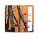 Película para Tablet Vision Signs Kindle Scribe 2 Camuflado Laranja