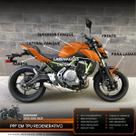 Película PPF Full KAWASAKI Z650 20 25 Película PPF Full KAWASAKI Z650 20 25