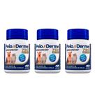 Pelo E Derme 750mg Dha+epa 60cps - Vetnil - 3 unidades