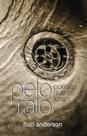 Pelo Ralo - Poesias Que Se Foram - Scortecci editora