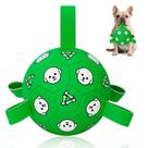 Pelota de Fútbol para Perros WYNTRIUM Duradera para Perros Pequeños y Medianos, 15 cm