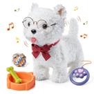 Peluche Puppy Toy Dog TUMAMA Walking com controle remoto para crianças Peluche Puppy Toy Dog TUMAMA Walking com controle remoto para crianças