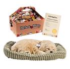 Pelucia afetiva cachorro golden retriver perfect petezzz - imex