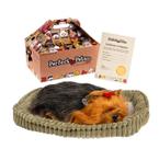 Pelucia afetiva cachorro yorkshire perfect petezzz - imex
