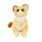 Pelúcia Beanie Bellies Gato Mango 20 cm Toyng - 47354