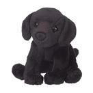 Pelúcia Cachorro Douglas Lucy Black Lab - 13cm