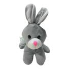 Pelucia Coelhinho Baby Cinza Deitado - Bbr R3593