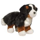 Pelúcia Douglas Stevie - Bernese Mountain Dog 25cm