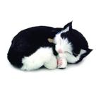 Pelúcia Gato Preto E Branco Que Respira - Imex