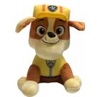 Pelúcia Infantil Patrulha Canina 22cm Sunny - 7899573635800