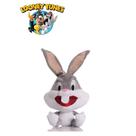 Pelúcia Looney Tunes 25Cm Patolino Taz Frajola Piu Piu Lola E Pernalonga Desenho Infantil