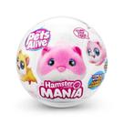 Pelúcia Pets Alive Hamster Mania Sortido - Candide 1213