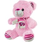 Pelúcia Ursinho Do Amor Coleção Urso Nicho Infantil - Bee Toys