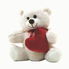 Pelucia Urso Com Coracao 14cm Bege