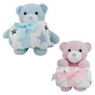 Pelúcia Urso com Manta Dm Toys Pelúcia Urso com Manta Dm Toys