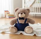 Pelúcia Urso Teddy