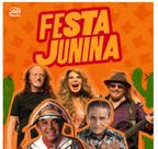 Pen draiver festa junina mp3