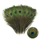 Pena de pavão THARAHT Natural 25-30 cm para vaso artesanal, 24 unidades