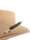 Pena para Chapéu country Preta Média Premium Ponteira Pena para Chapéu country Preta Média Premium Ponteira