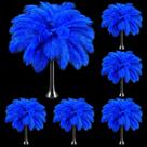 Penas de avestruz Berlune 150 peças de artesanato DIY em azul royal de 30 a 35 cm