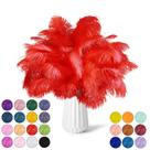 Penas de avestruz NEWONG Red, 30 unidades, vaso natural de 28 a 35 cm, artesanal