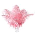 Penas de avestruz rosa Ballinger, 12 peças de 35 a 40 cm de largura