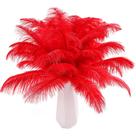 Penas de avestruz THARAHT 24 unidades de 25-30 cm de vermelho natural Penas de avestruz THARAHT 24 unidades de 25-30 cm de vermelho natural