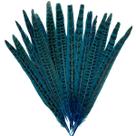 Penas de cauda de faisão, 20 peças de azul turquesa, 25-30 cm para artesanato Penas de cauda de faisão, 20 peças de azul turquesa, 25-30 cm para artesanato