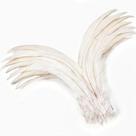 Penas de cauda de galo Holmgren Off-White 30-35 cm 60 unidades Penas de cauda de galo Holmgren Off-White 30-35 cm 60 unidades