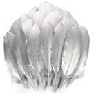 Penas de ganso THARAHT Silver 15-20 cm, naturais, 120 peças, artesanato