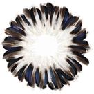 Penas de pato FeelFunFeather 240 unidades de 10 a 15 cm Natural Craft