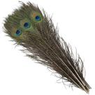 Penas de pavão LWINGFLYER Natural 40-45 cm, decoração de casa, 20 unidades Penas de pavão LWINGFLYER Natural 40-45 cm, decoração de casa, 20 unidades