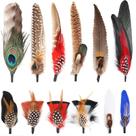 Penas de pavão naturais FeelFunFeather, 12 peças para chapéus