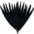 Penas LWINGFLYER, caudas de faisão, 25-30 cm, 10 unidades, pretas Penas LWINGFLYER, caudas de faisão, 25-30 cm, 10 unidades, pretas