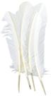 Penas PANAX Natural Turkey 20 peças de 20-28 cm/8-11 polegadas Penas PANAX Natural Turkey 20 peças de 20-28 cm/8-11 polegadas