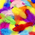 Penas para artesanato Rasoisof 800 peças coloridas 715 cm em grande quantidade