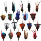 Penas para chapéus Syhood, estilo clássico, cores variadas, 20 unidades