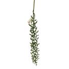 Pendente de Suculenta para Decoração 63cm Outonado Decoromax