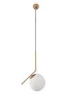 Pendente moderno dourado 1 lâmpada jabuticaba