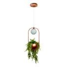 Pendente Terrário Globo De Vidro Com Suporte Para Plantas Jardim Varanda Coberta